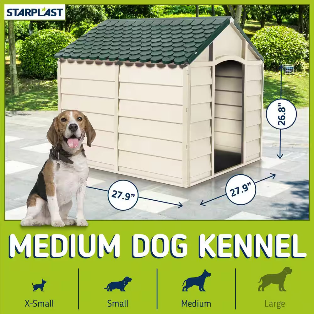 Dog House Beige and Green-Small