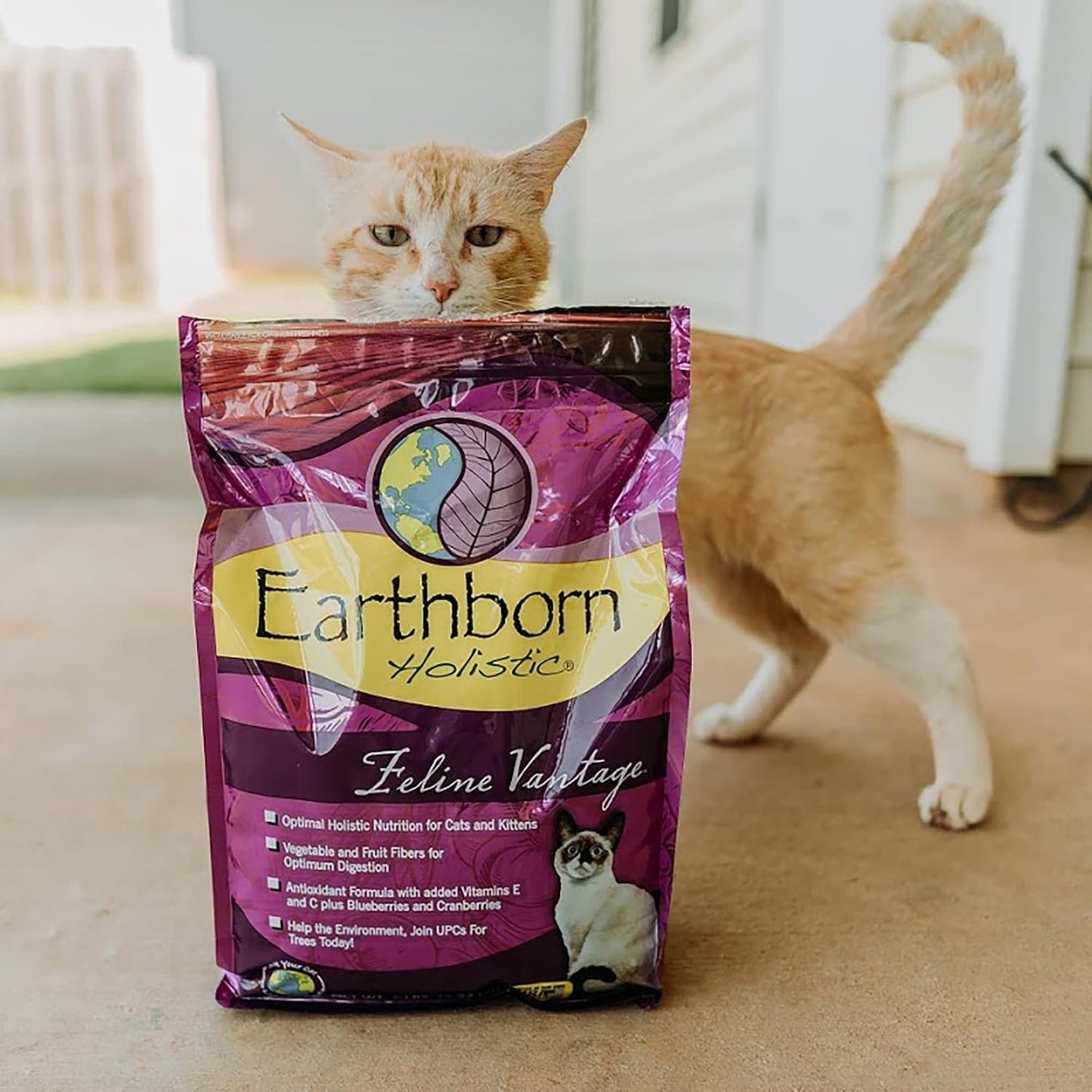 Feline Vantage Natural Dry Cat Food