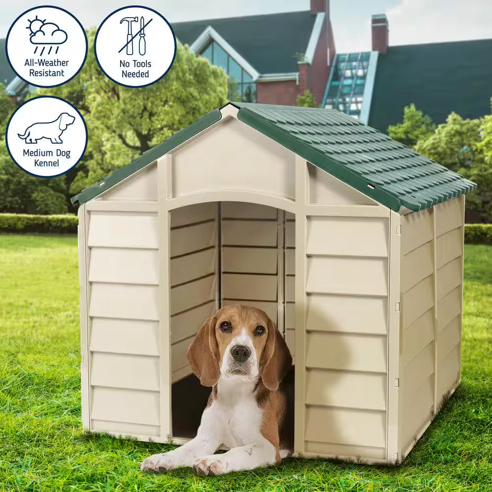 Dog House Beige and Green-Small