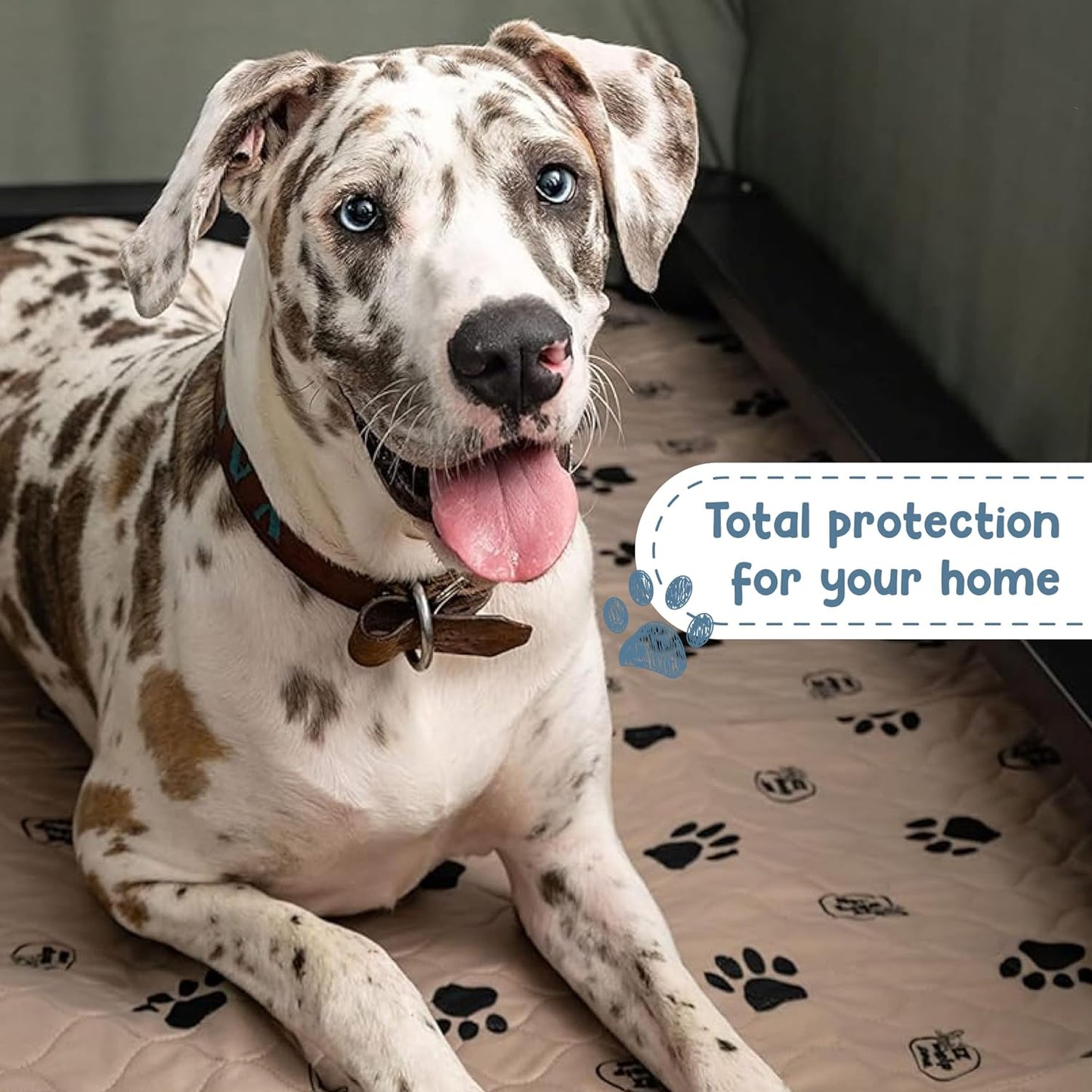 Pee Pads for Dogs - Dog & Puppy Training & Whelping Pads - Rounded Corners - Washable, Reusable - Waterproof, Sanitary Potty Protector Dog Mat - Pet Essentials - 2 Pack