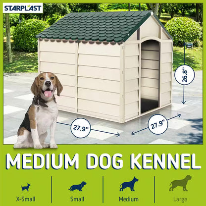 Dog House Beige and Green-Small