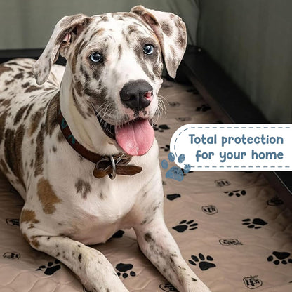 Pee Pads for Dogs - Dog & Puppy Training & Whelping Pads - Rounded Corners - Washable, Reusable - Waterproof, Sanitary Potty Protector Dog Mat - Pet Essentials - 2 Pack